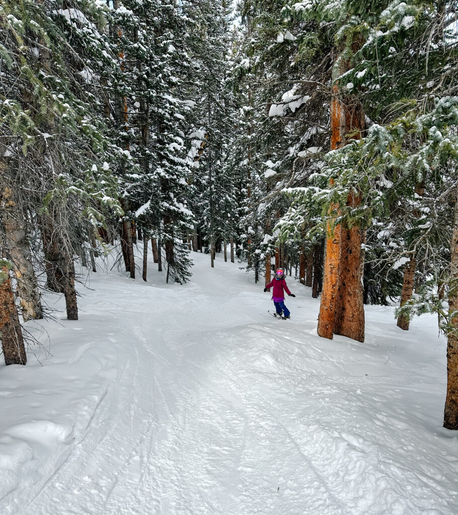 Ski Resorts Where You Can Camp